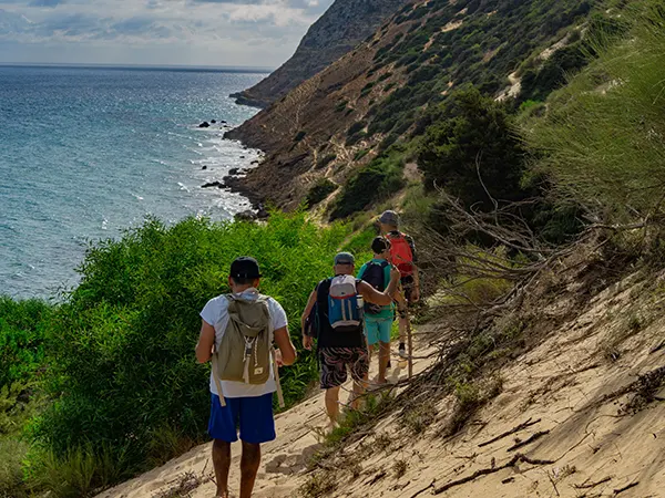 Coastal boardwalk trail along the Mossel Bay shoreline