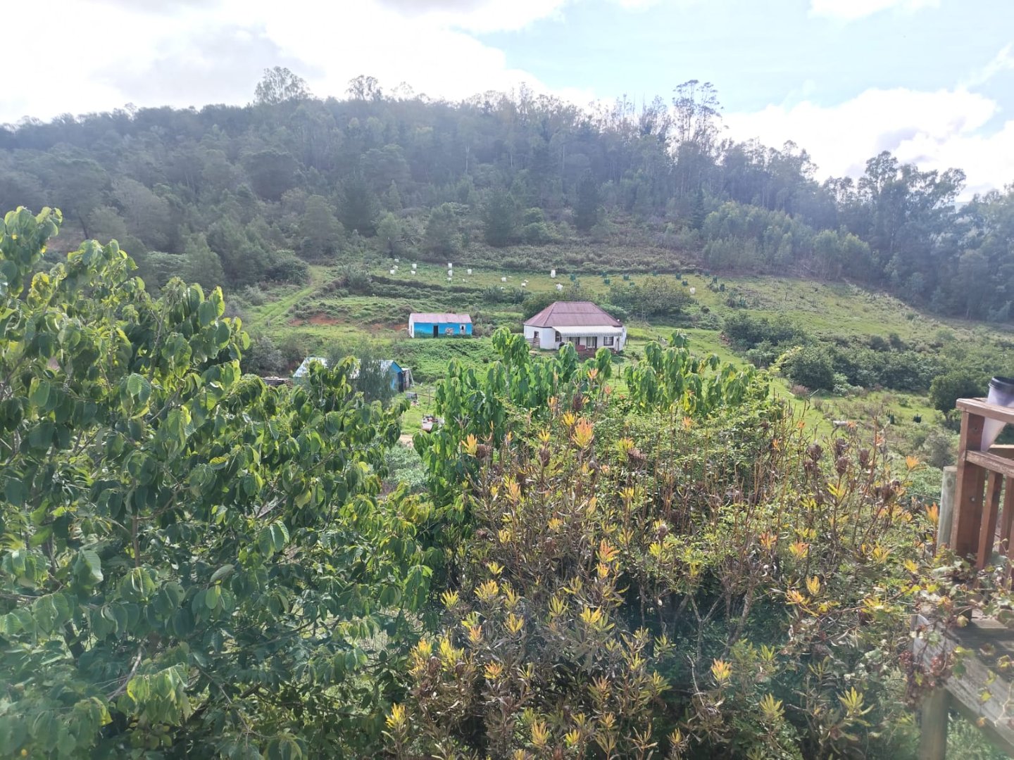 Photo 2 of 5 Bedroom House for Sale in Leeukloof