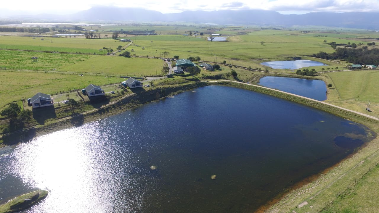 Photo 6 of Farm for Sale in Glentana