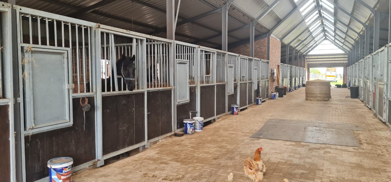 Photo 15 of Farm for Sale in Glentana