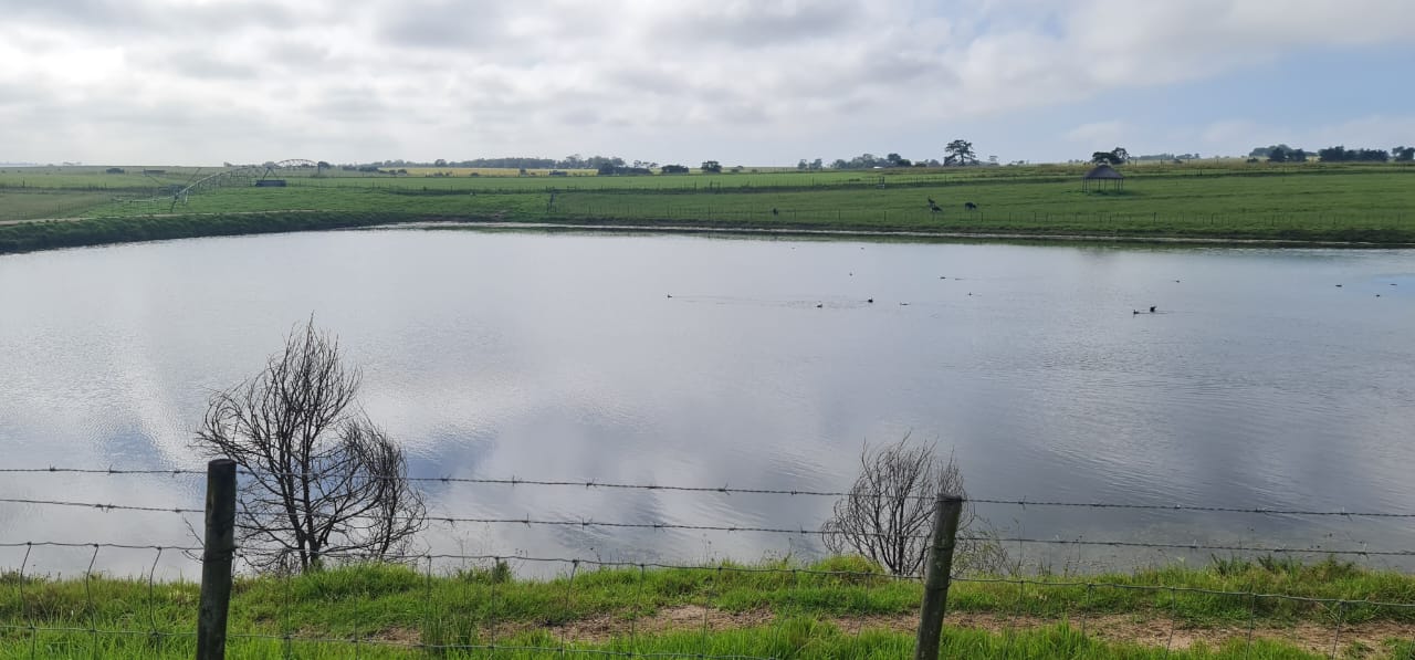Photo 22 of Farm for Sale in Glentana
