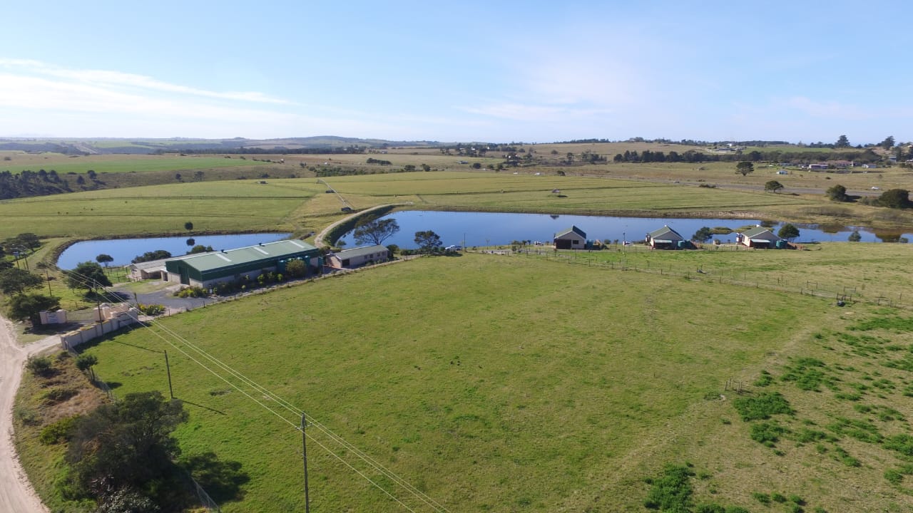 Photo 11 of Farm for Sale in Glentana
