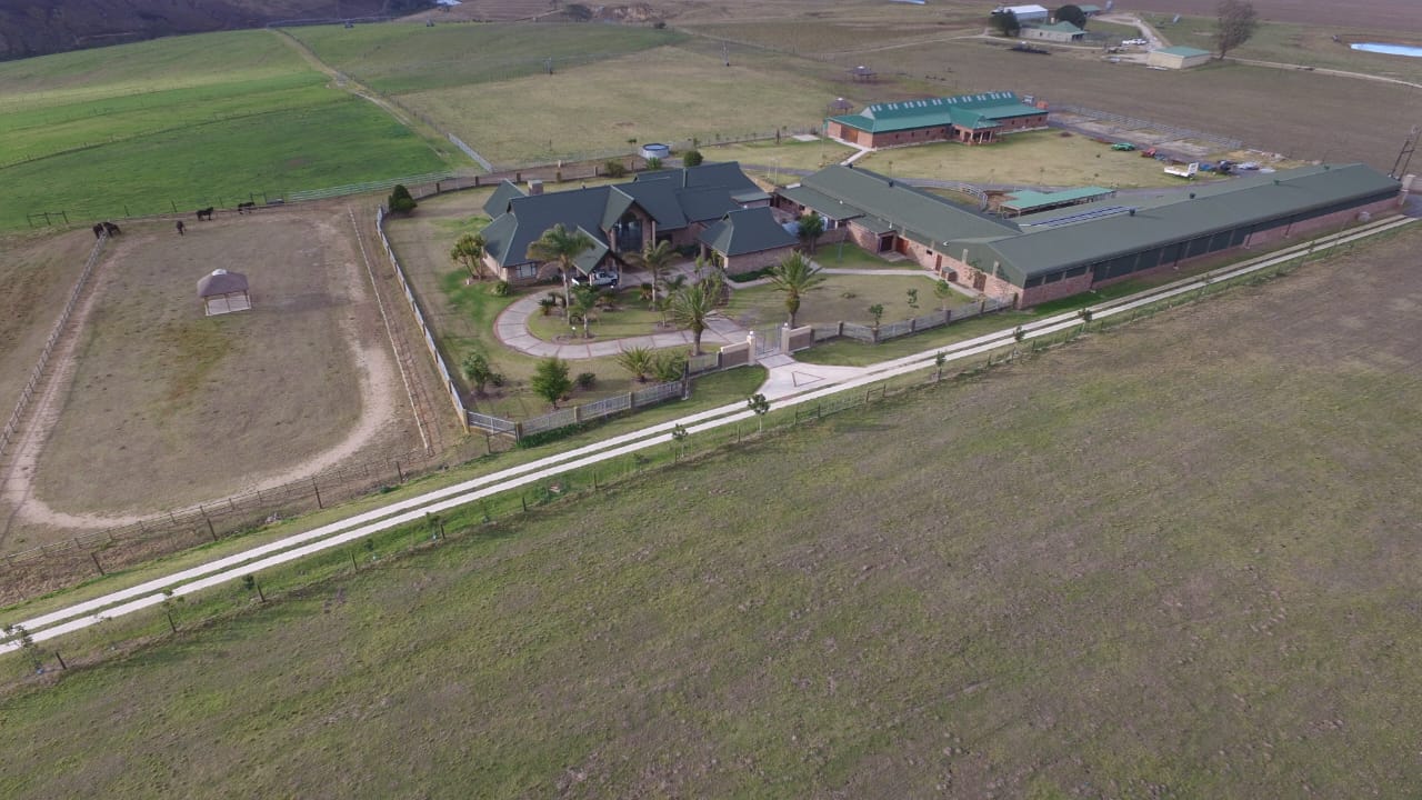 Photo 14 of Farm for Sale in Glentana