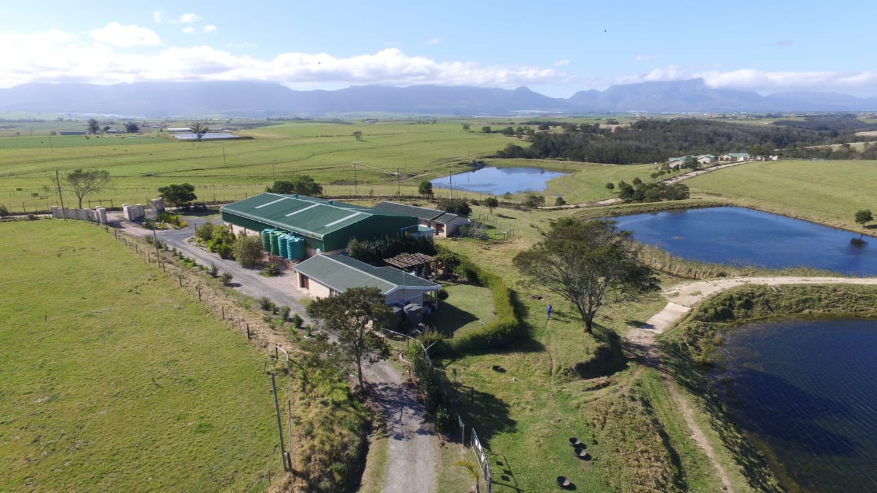 Photo 5 of Farm for Sale in Glentana