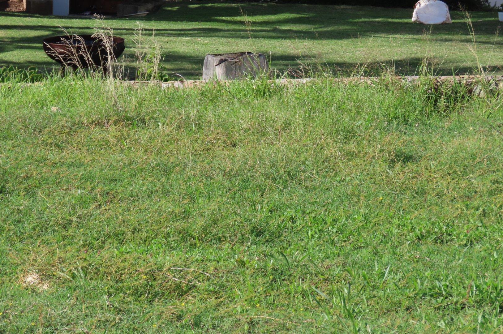 Photo 5 of Vacant Land/Plot for Sale in Vakansieplaas