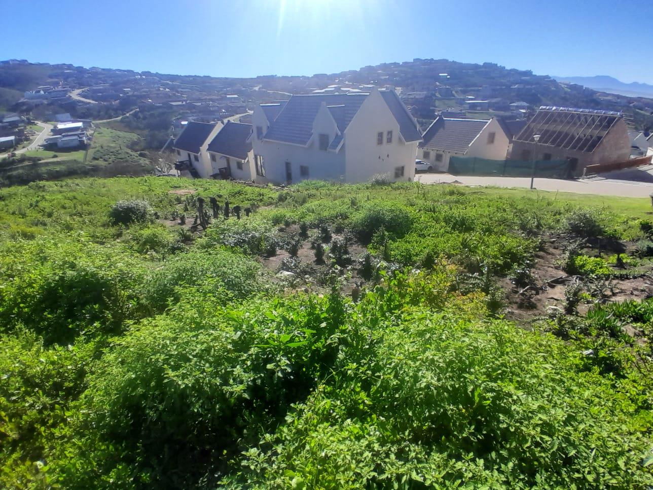 Photo 15 of Vacant Land / Plot for Sale in Vakansieplaas