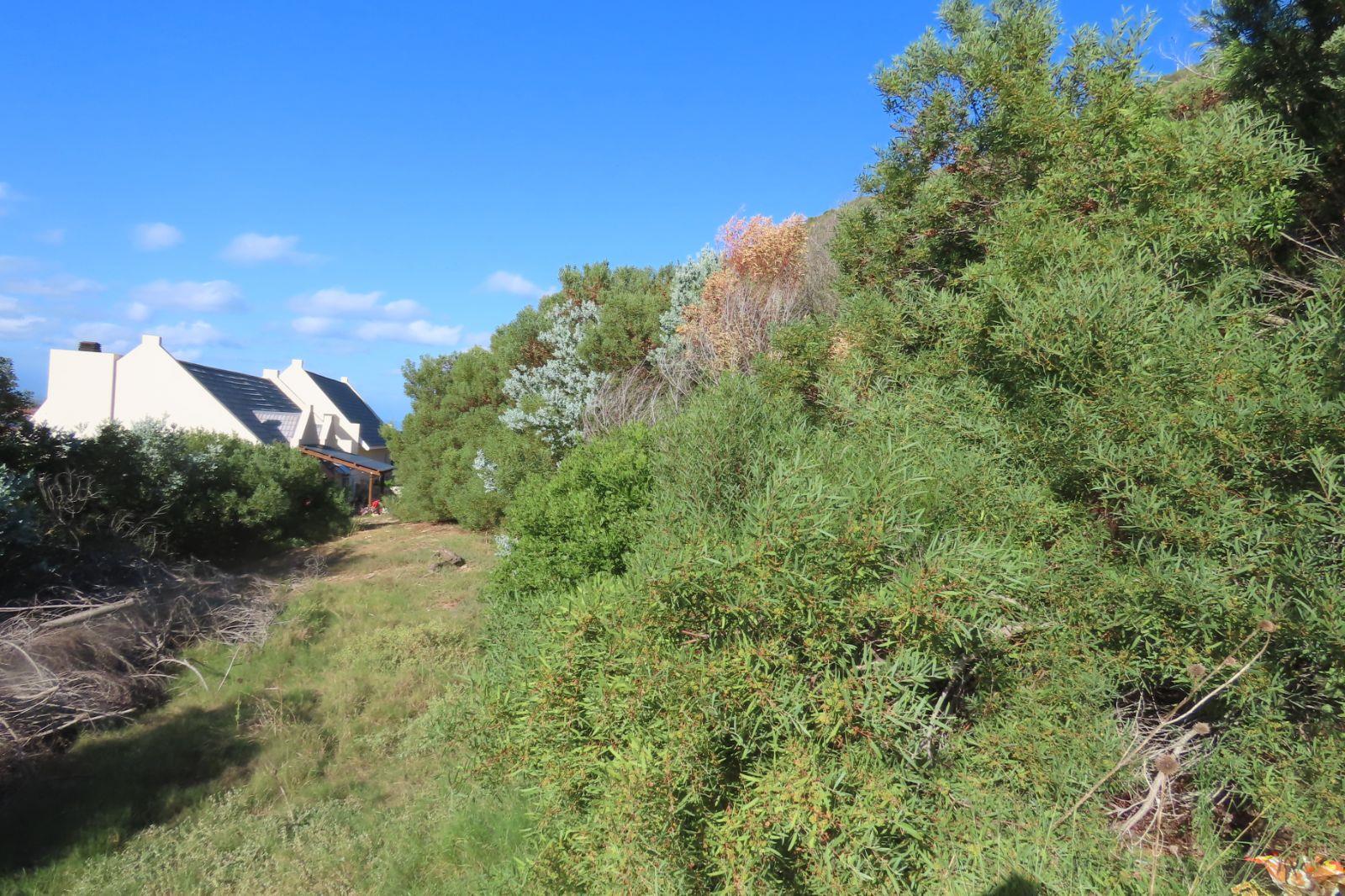 Photo 13 of Vacant Land / Plot for Sale in Vakansieplaas